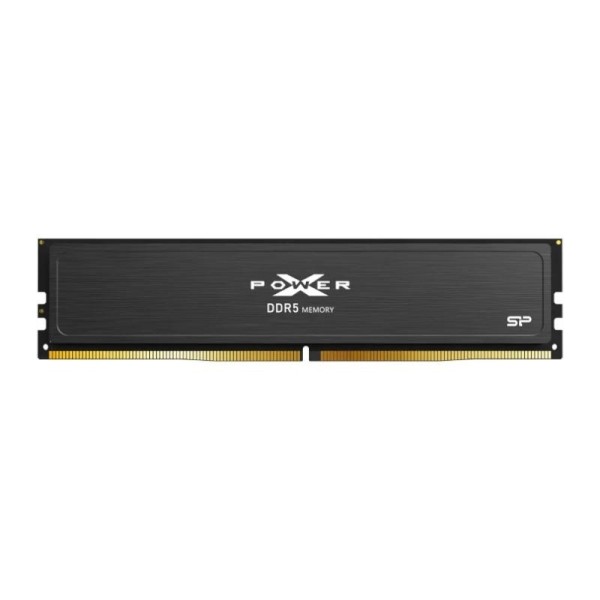 Sp ddr5-6000,c36,oc-udimm,32gbx1 gaming